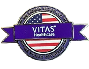 Veterans Lapel Pin